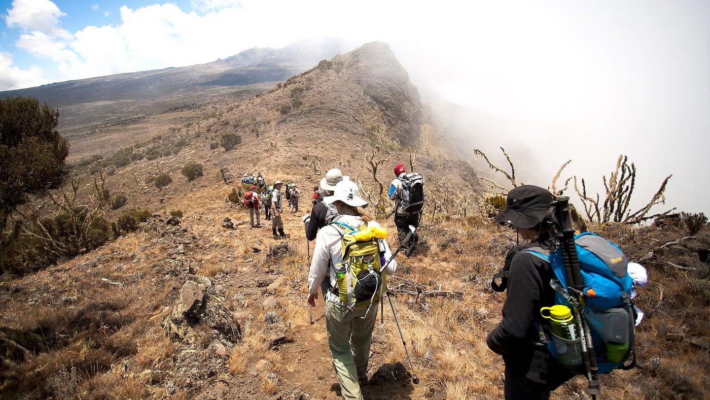 Selecting Gorilla Trekking & Tanzania Safari Over Standard Kilimanjaro Packages (And What Actually…
