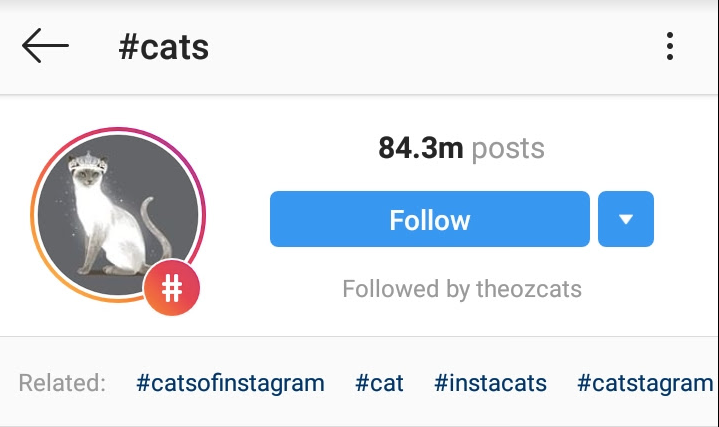 Animals Post✨ on Instagram: We must listen clearly, they're trying to tell  us sum . . . . Dm if dats ur cat for credit . . . . . . . #