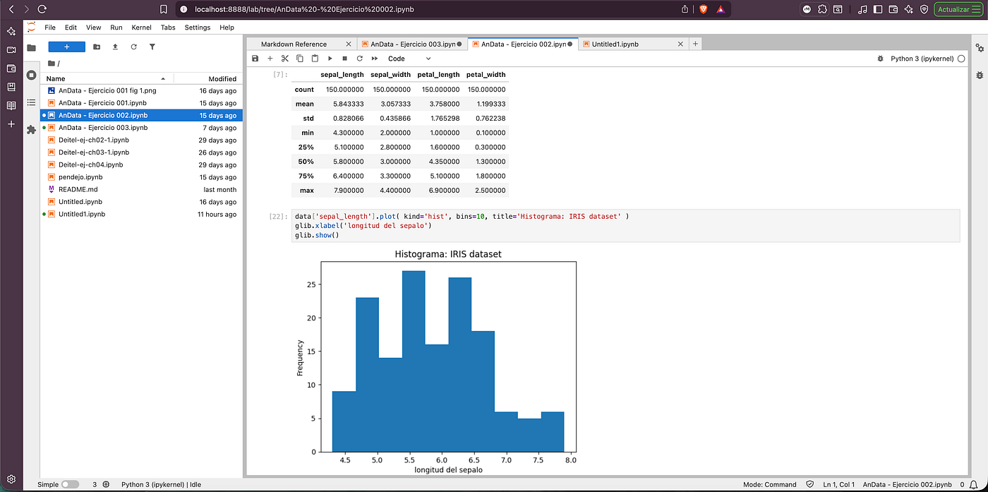 Como instalar Jupyter Notebook o JupyterLab