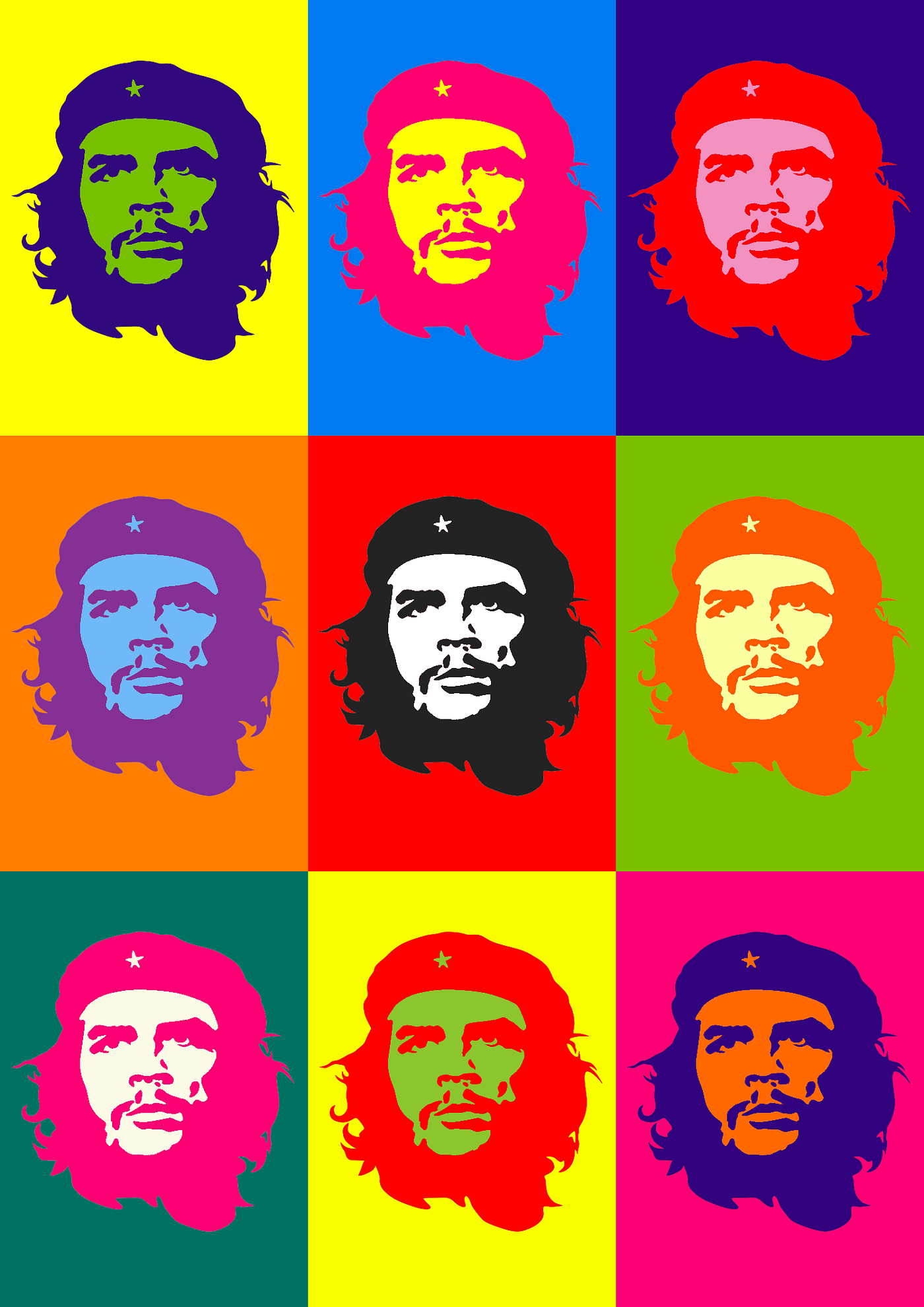 Che Guevara: Iconic Image and the Complex Duality