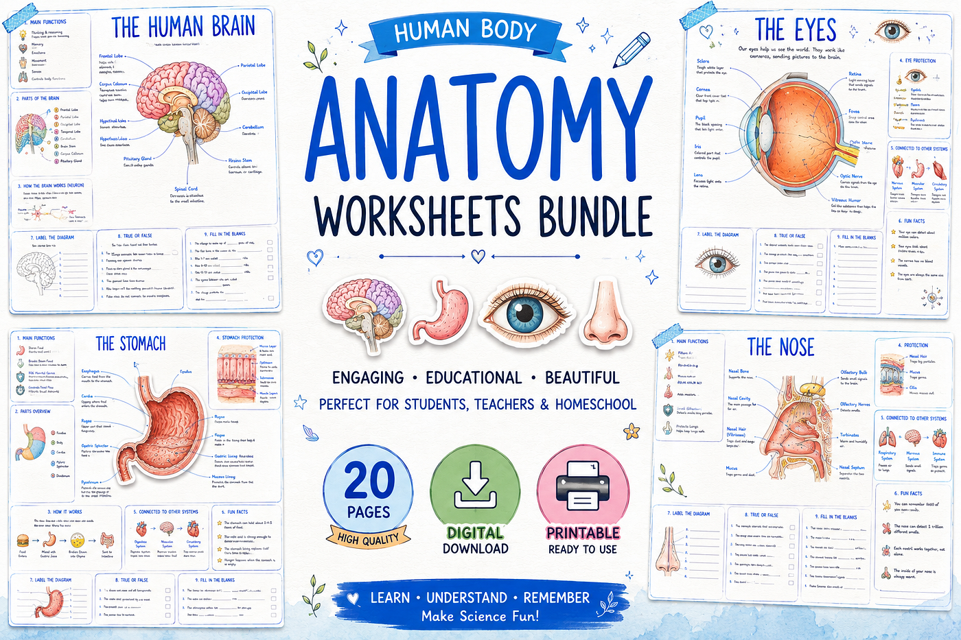 Make Human Anatomy Easier and More Engaging for Kids