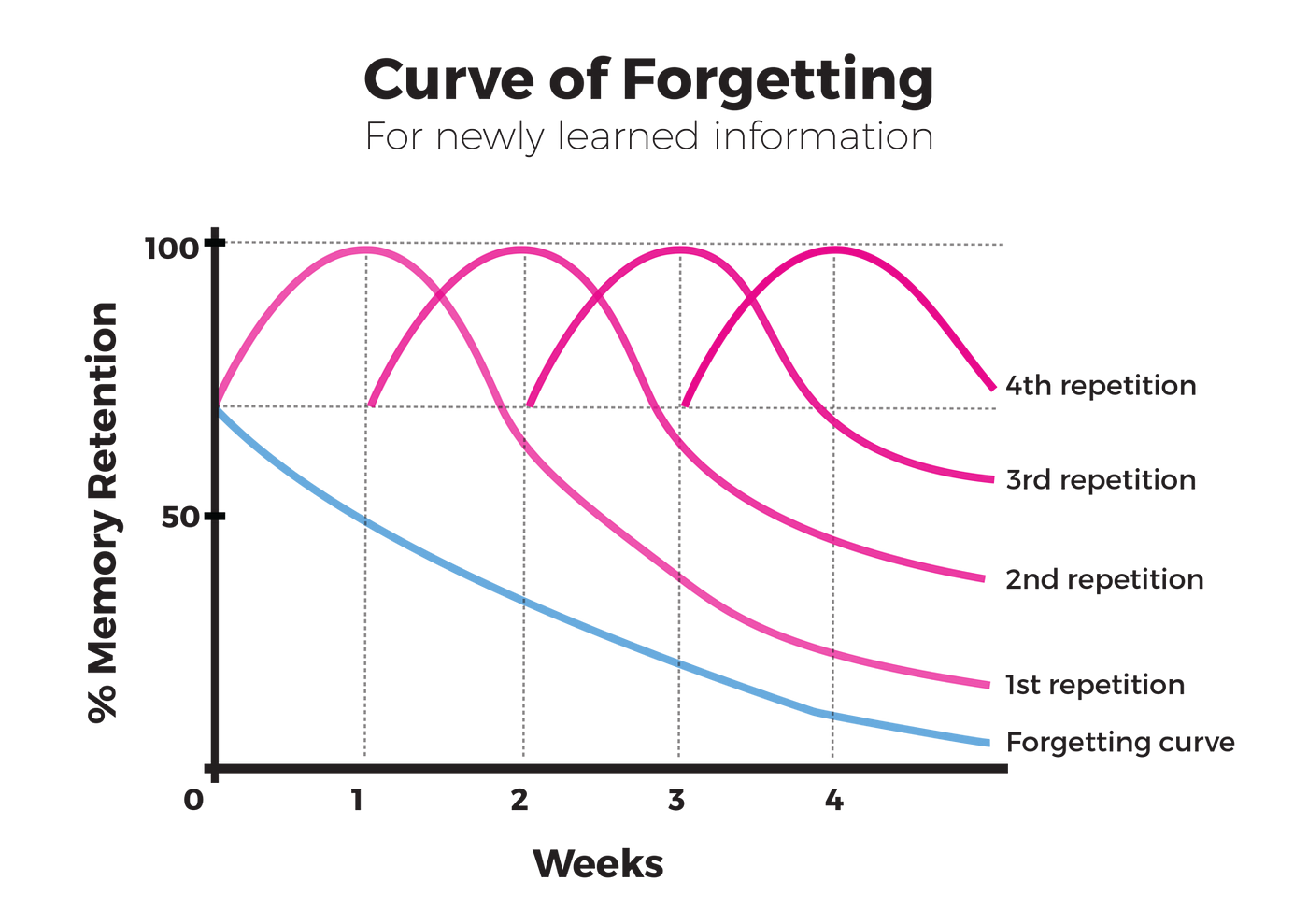 What you need to know… about The Curve of Forgetting, by How Do I?