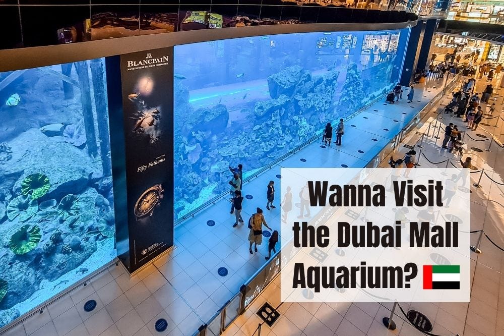 Dubai Mall Where Shopping Dreams Come True by Wagjihash Medium