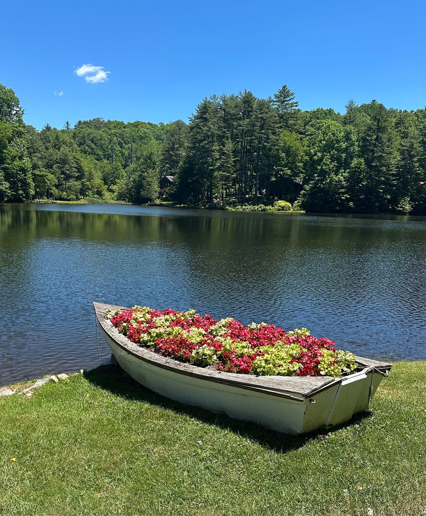 We’re Gonna Need a Bigger Boat