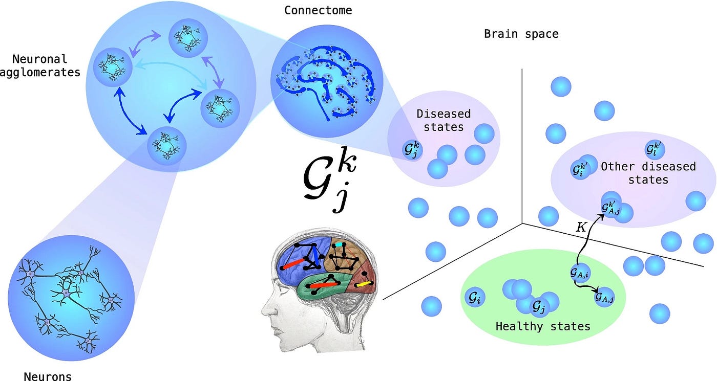 A space of brain states