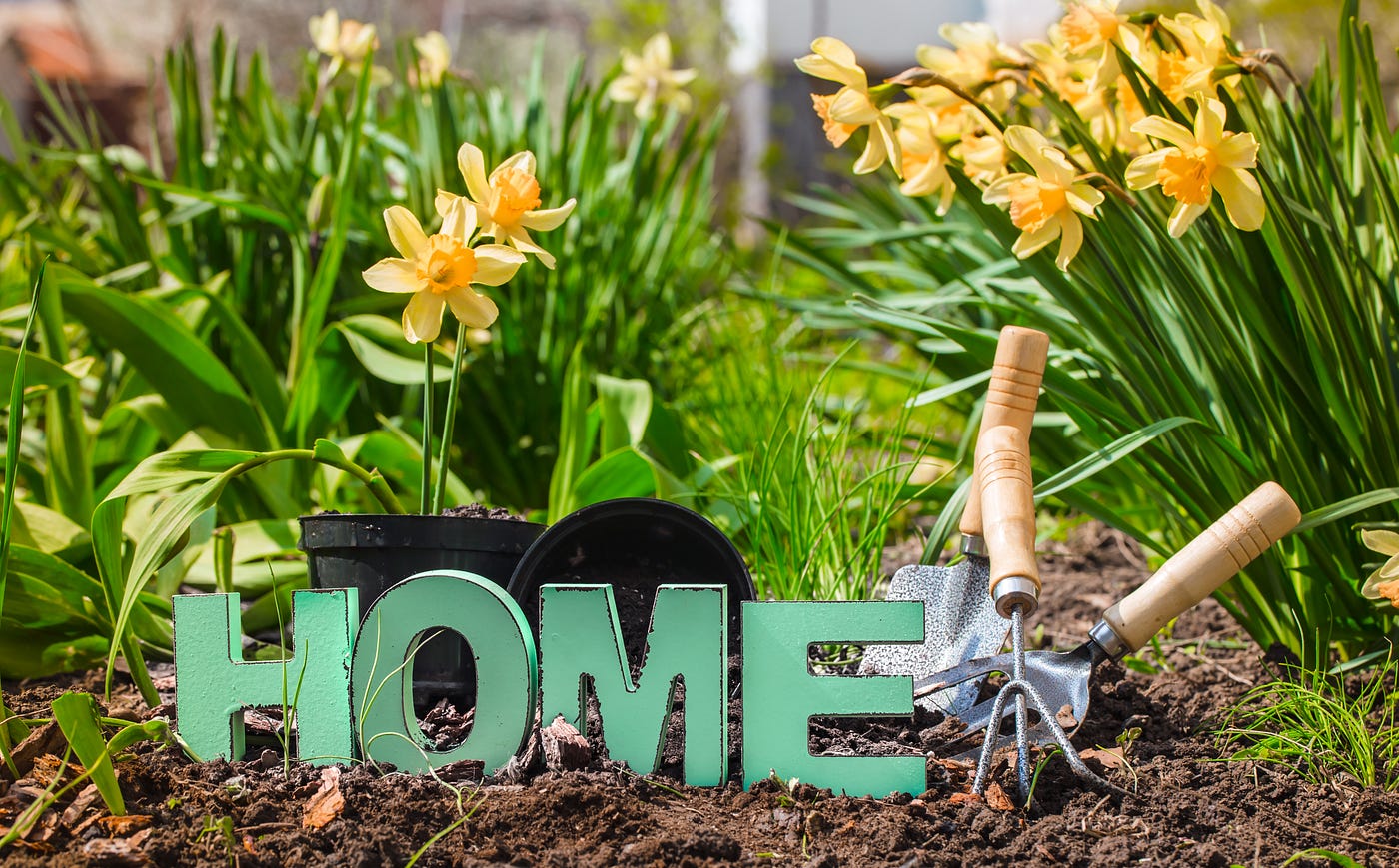 The Benefits of Home Gardening