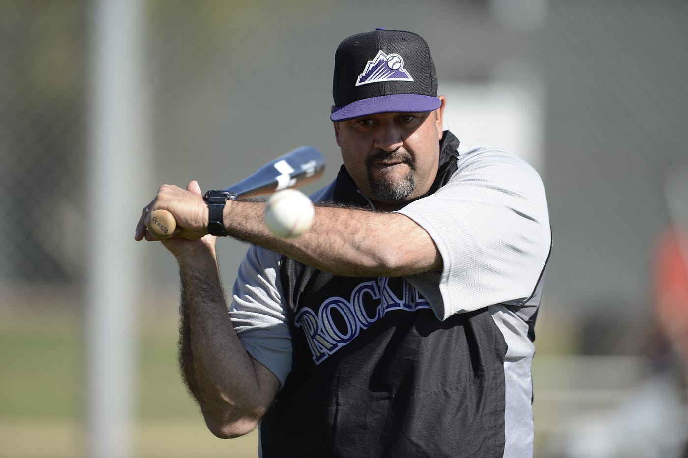 On the Farm A New Look For Rockies Minor League Staffs by Colorado Rockies Rockies Blog image