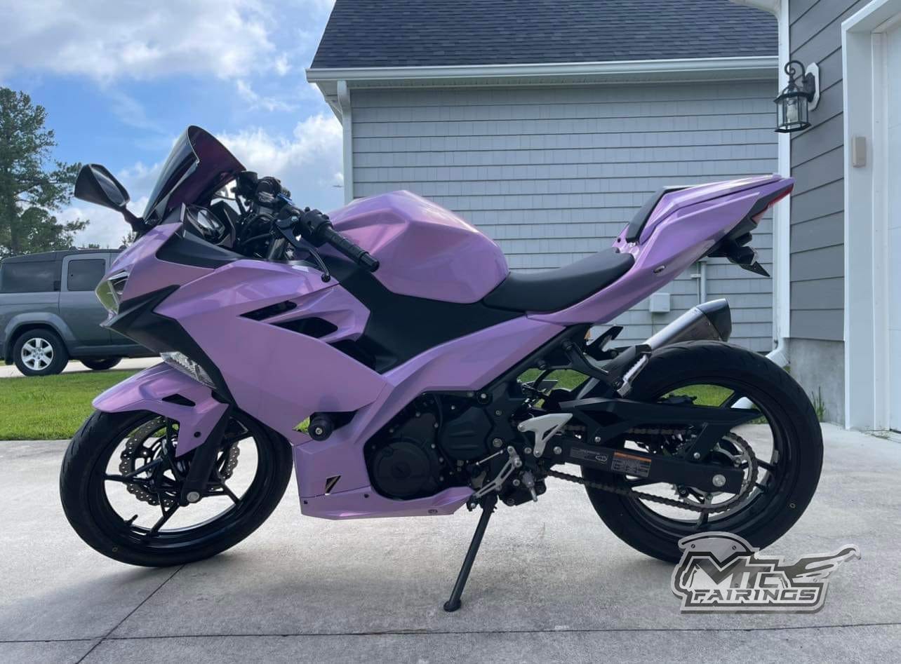 Kawasaki Ninja Purple