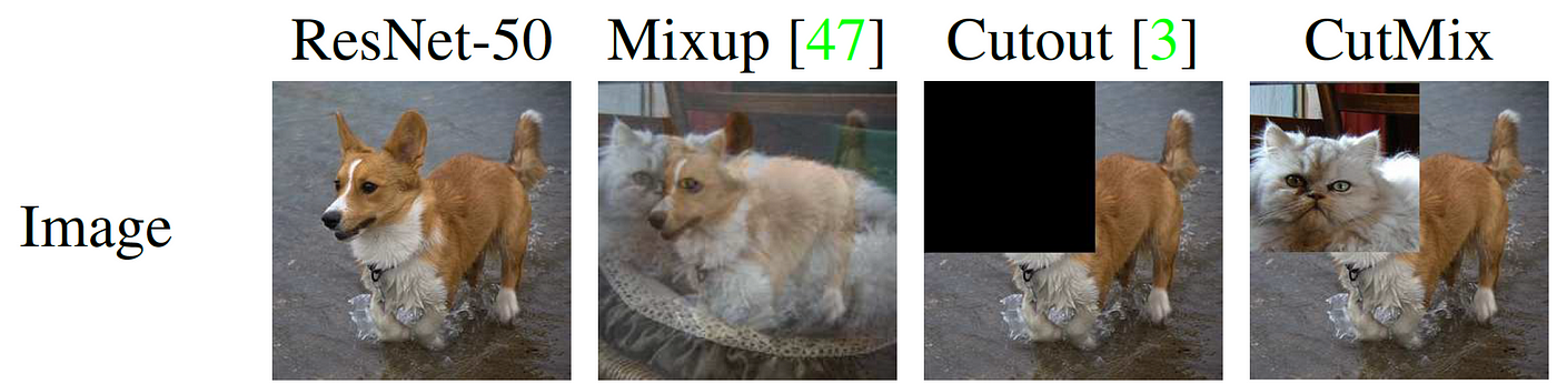 Paper] CutMix: Regularization Strategy to Train Strong Classifiers with  Localizable Features (Image Classification) | by Sik-Ho Tsang | Medium