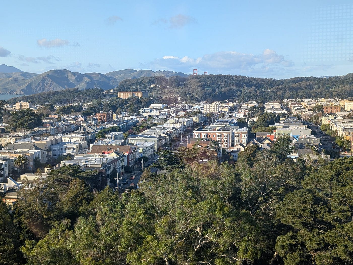 View from de Young Tower photo by Scarlet Spitzer-Silverstone