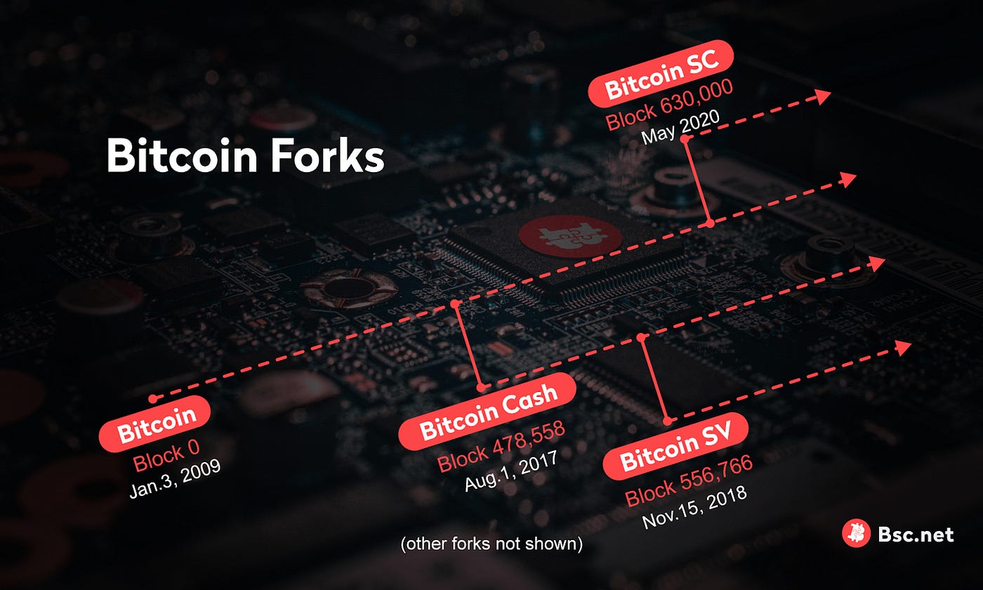 Bitcoin Forks Compared: BTC, BCH, BSV, & BSC | by BSC | Medium