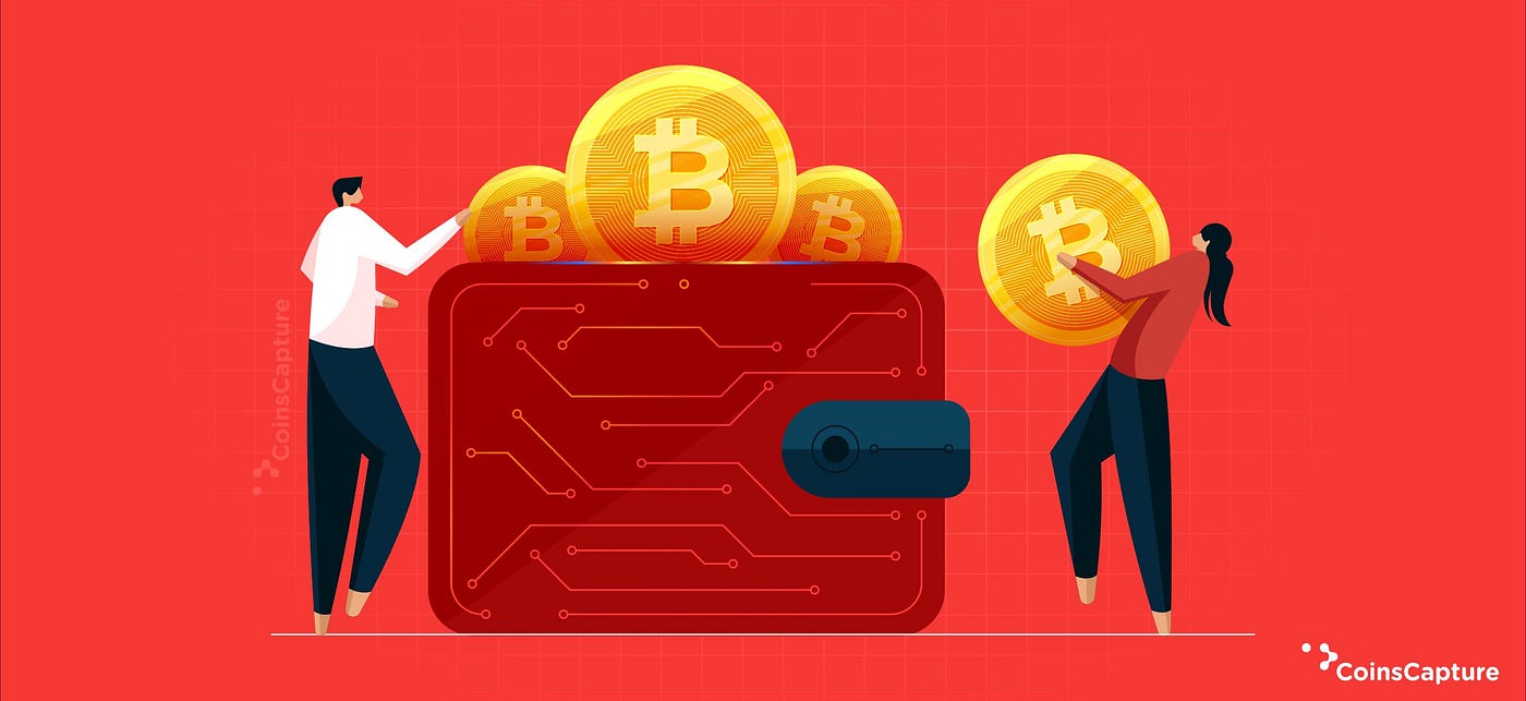 Which Are The Best Crypto Wallets For 2022? | by Coinscapture |  CoinsCapture | Medium