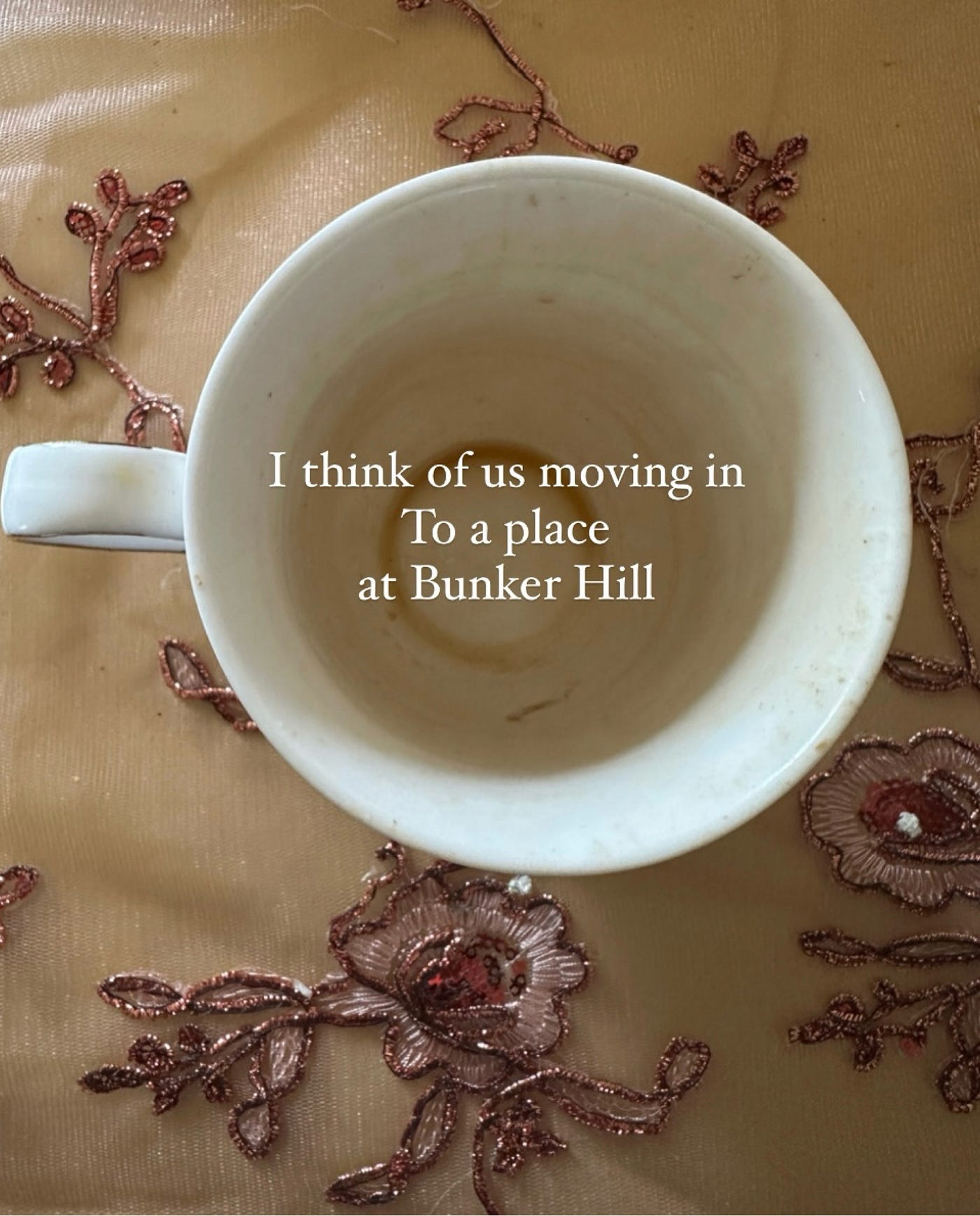 Dreams From Bunker Hill” | by Breyerrrosediary