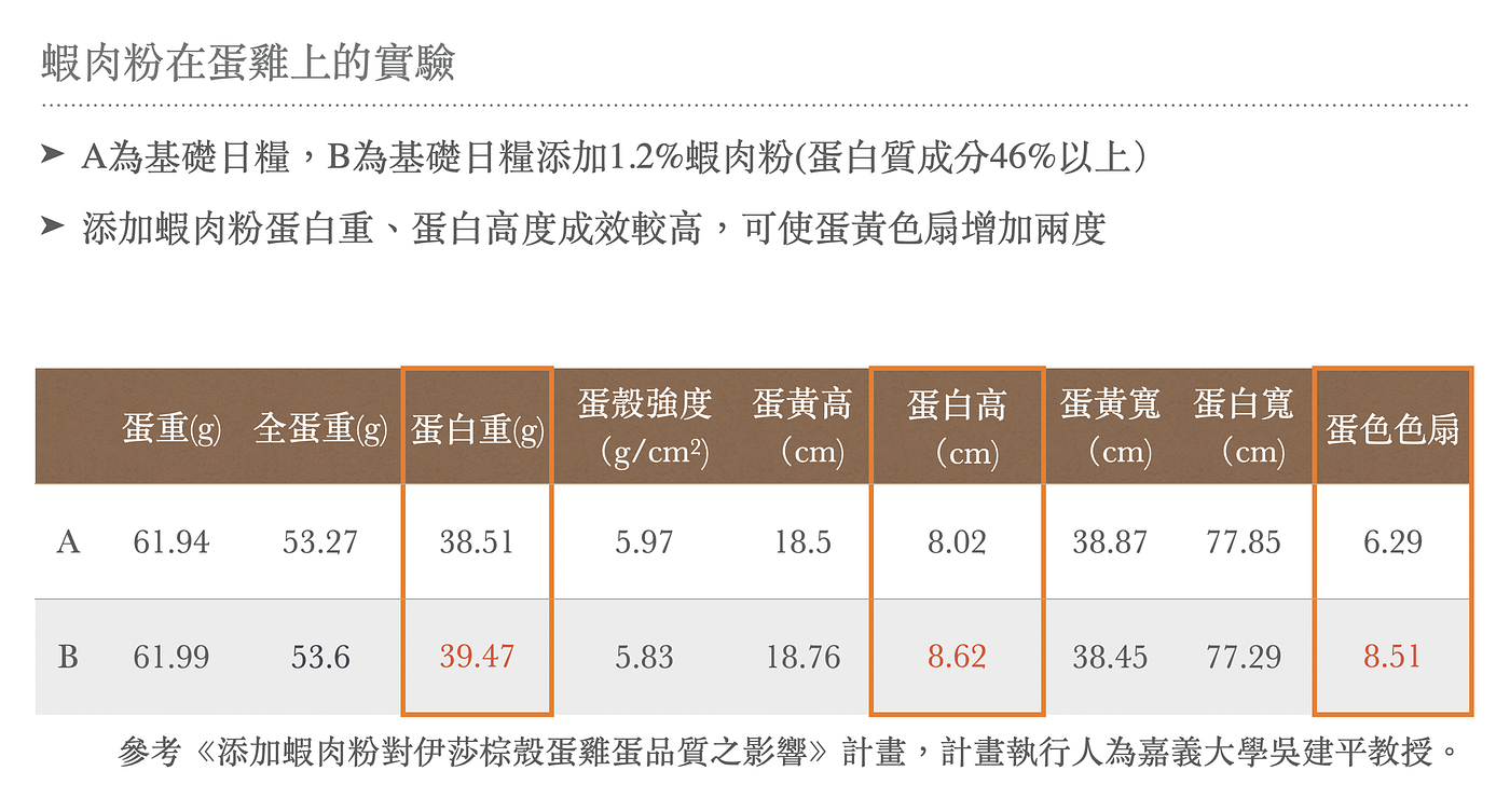 蝦肉粉在蛋雞飼養上的應用：提升蛋黃色澤與循環經濟價值的新選擇