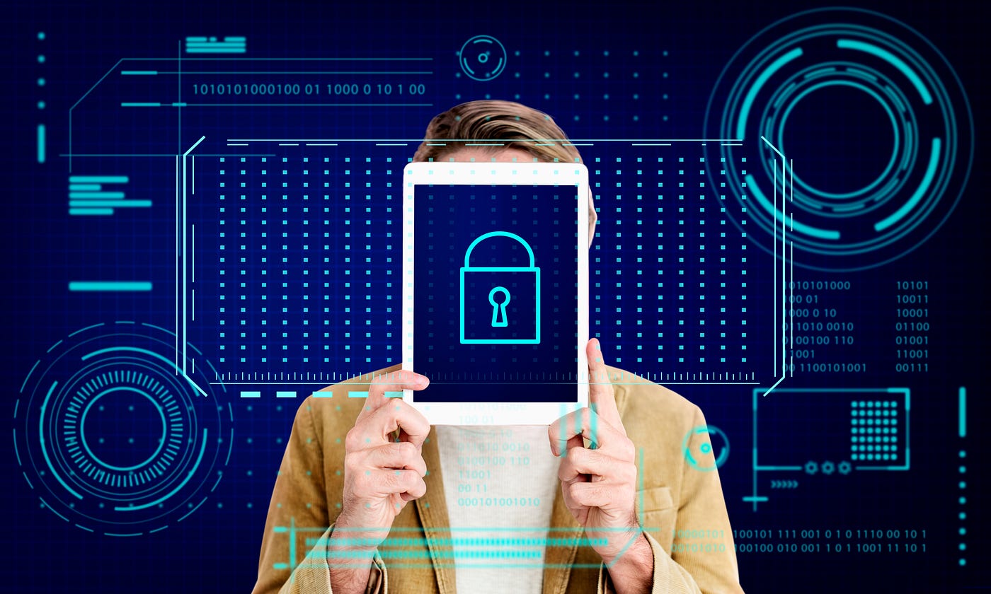 How Governments Respond to Digital Privacy in a Decentralized World