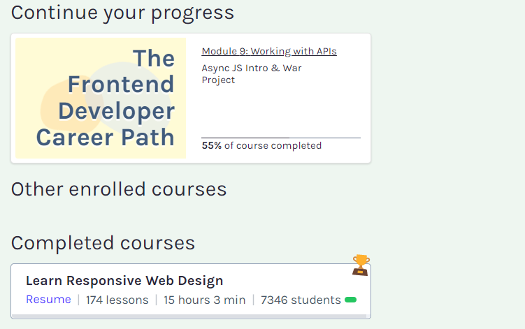 Why Scrimba Is the Best Platform to Learn Frontend | Code Writers