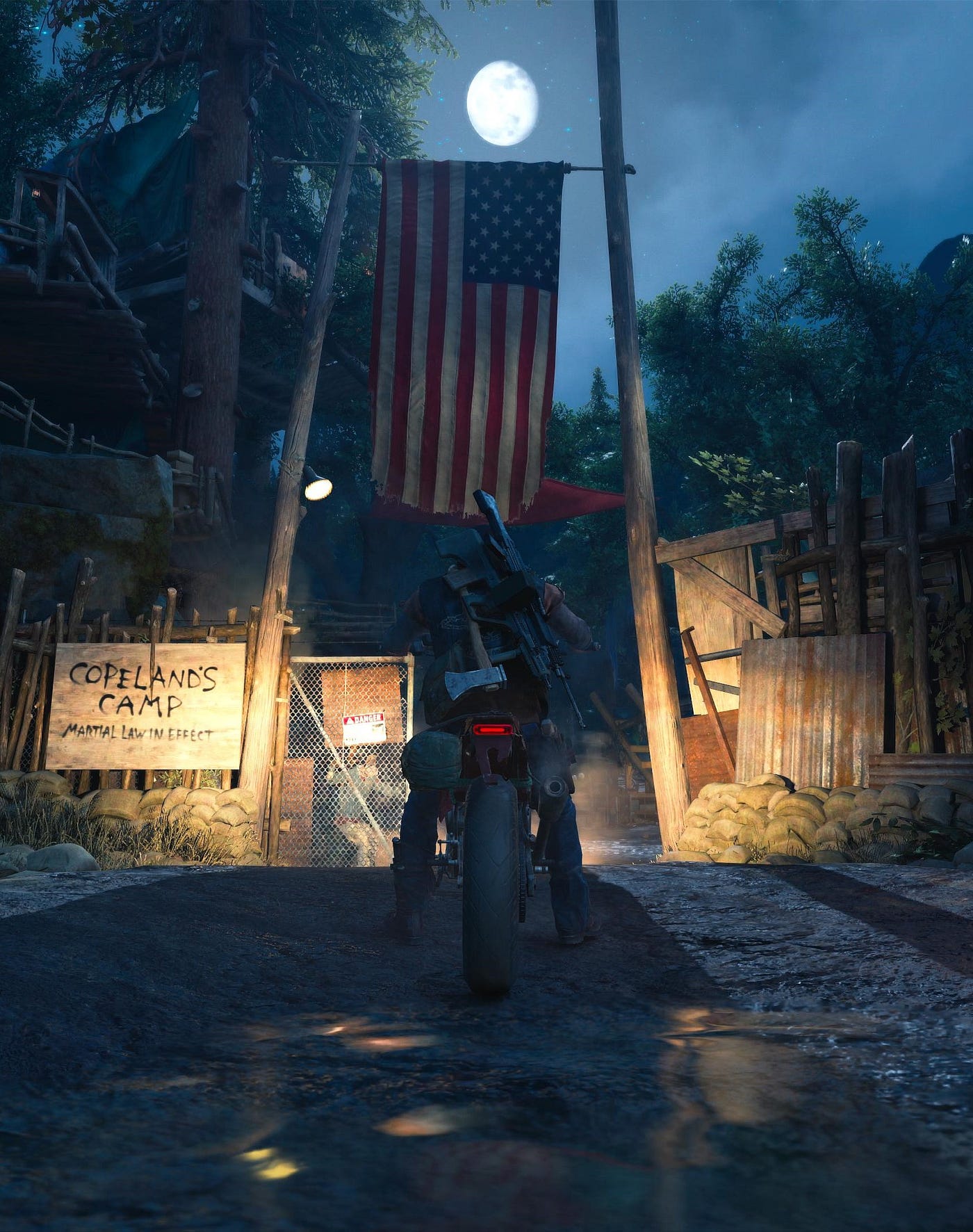 Days Gone May Be PS5's Hidden Gem for One Reason