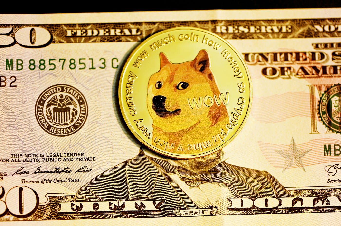 Can Dogecoin (DOGE) reach at 0.5$? | by Mr. Plan ₿ | Coinmonks | Medium