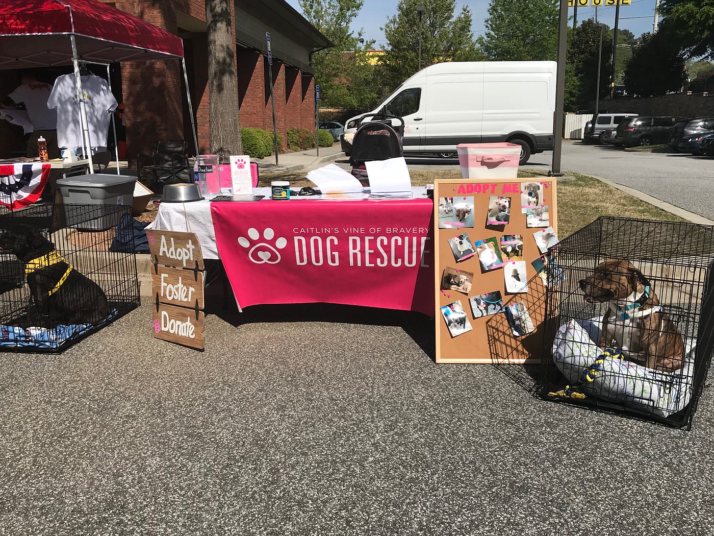 Caitlin Beadles on Reels | Facebook, image size:1400x1050