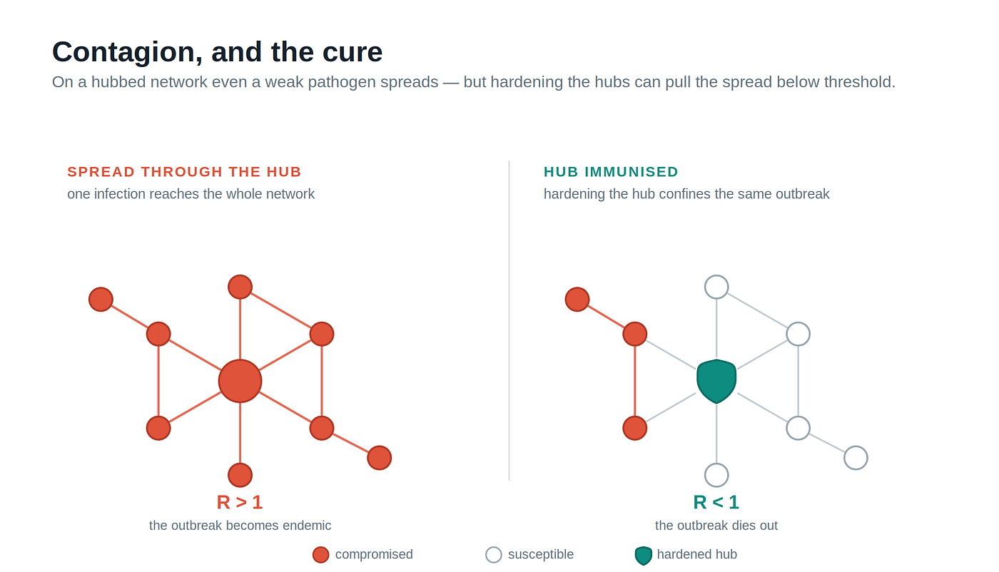 Figure 6. Contagion and targeted immunisation: hardening the hubs can change the reproduction dynamics of compromise.