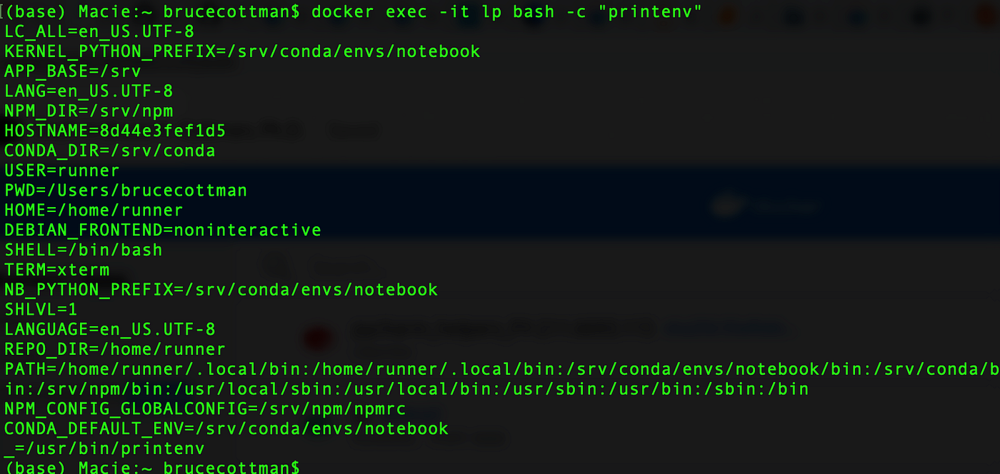 Seventeen Methods For Changing Linux Environment Variables and Docker  Containers Environment Variables | by Bruce H. Cottman, Ph.D. | Level Up  Coding