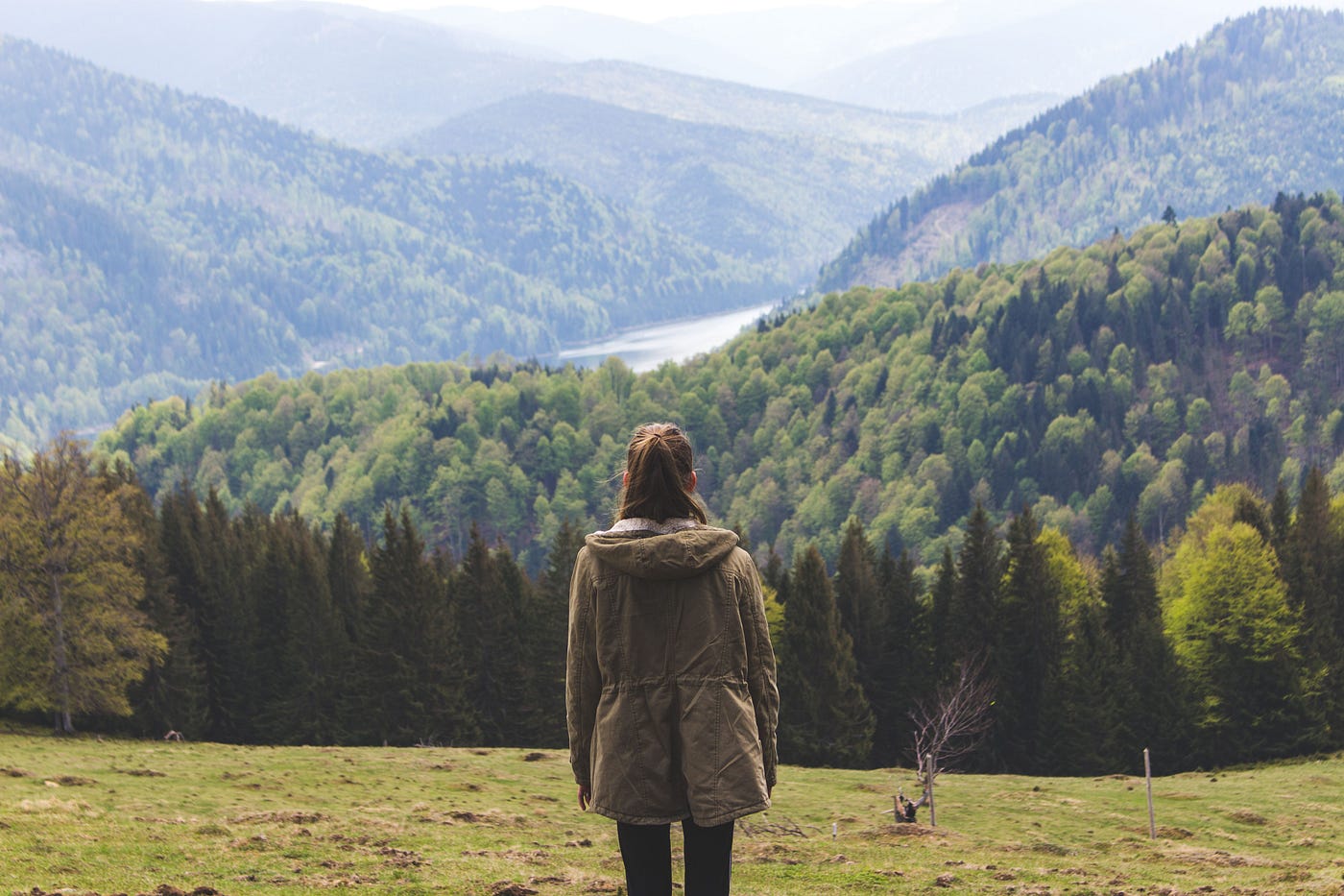 Photo by Vlad Bagacian, on Pexels