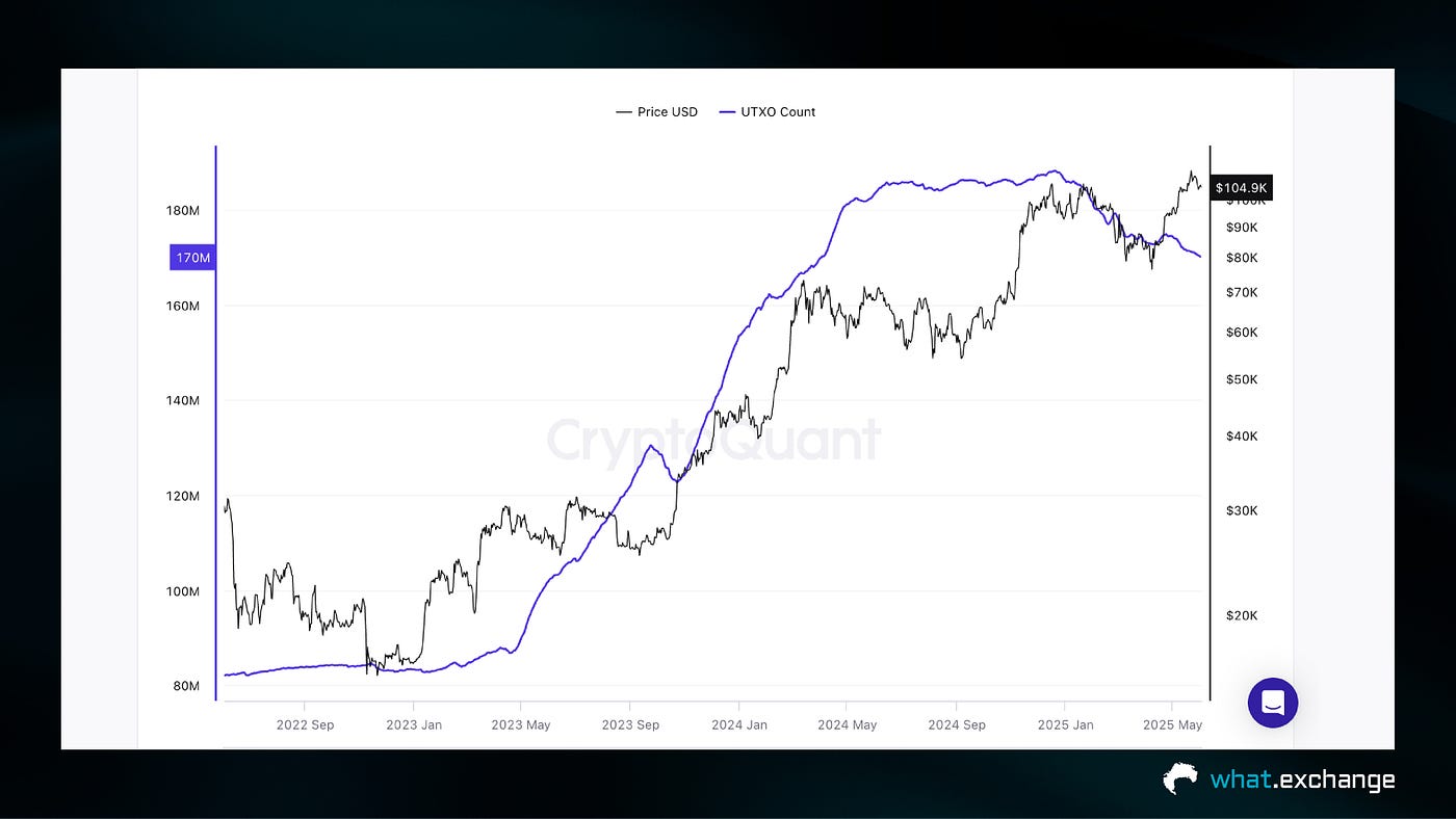 6 Key Bitcoin On-Chain Trends in June 2025 | by What Exchange | Medium