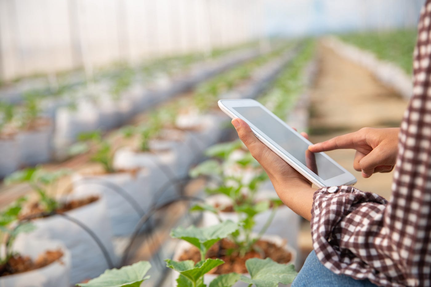 IoT in Agriculture: Transforming Traditional Farming into Smart Operations