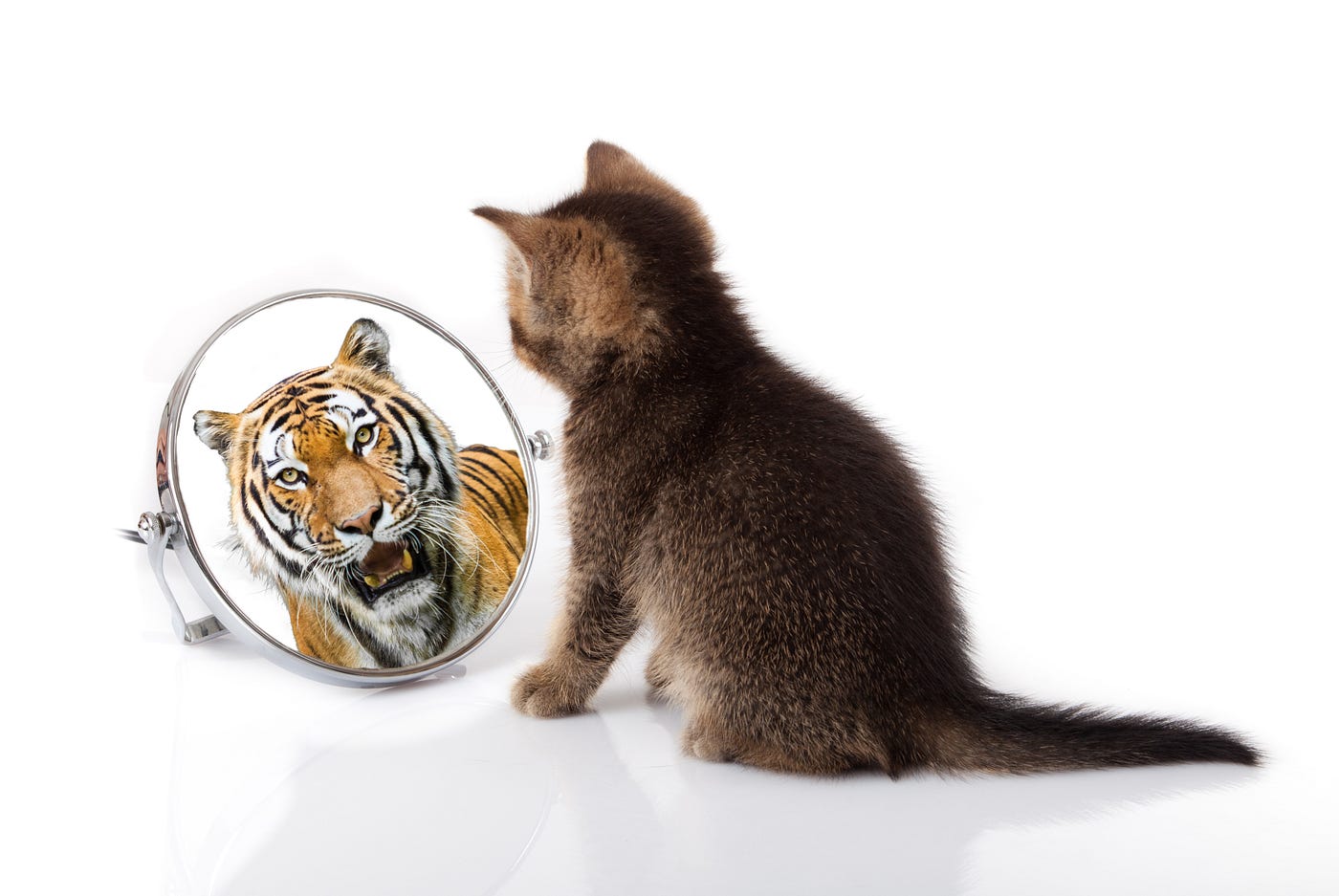 Mirror, Mirror on the Wall: AI Engines Speak Out on Who’s the Greatest of Them All