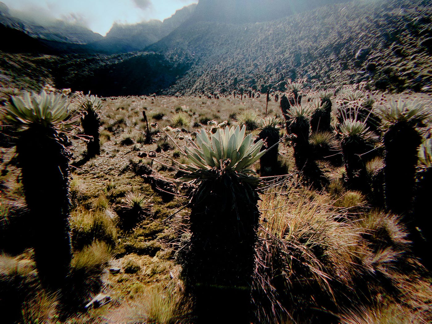 Conocí un valle de Ernestos Pérez. Mi vida no volverá a ser la misma.