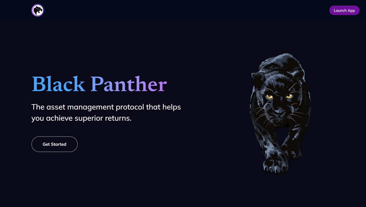 Project Story. Black Panther Finance | by Black Panther Finance | Medium