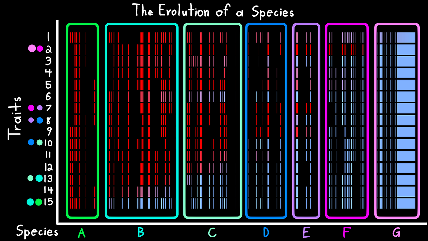 Creationists Don’t Understand Transitional Species