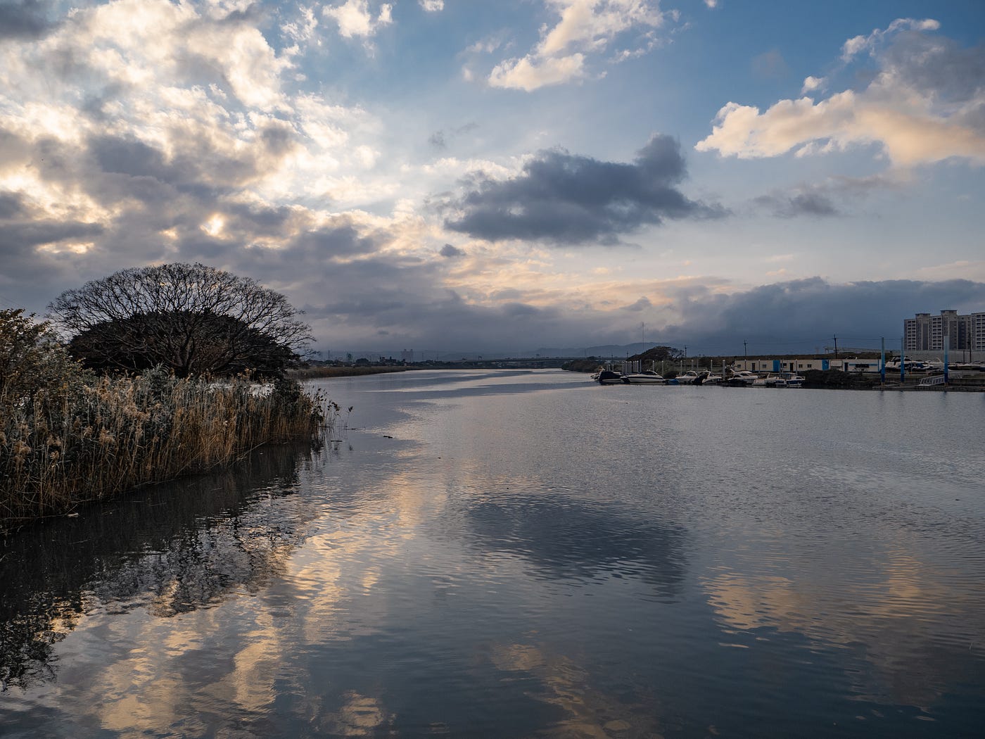 2022/01/27 12mm f4 1/1000sec iso200
