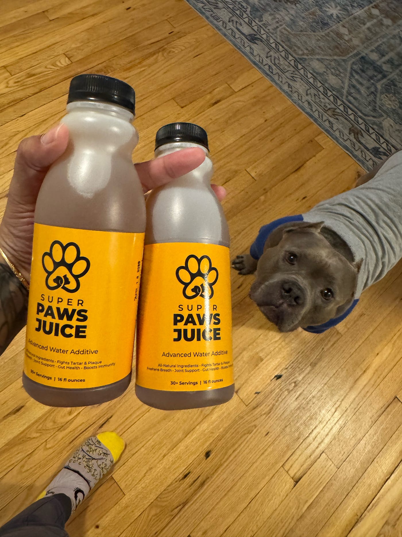 How Southeast Bully Kennels Keeps Our Dogs Healthy From the Inside Out