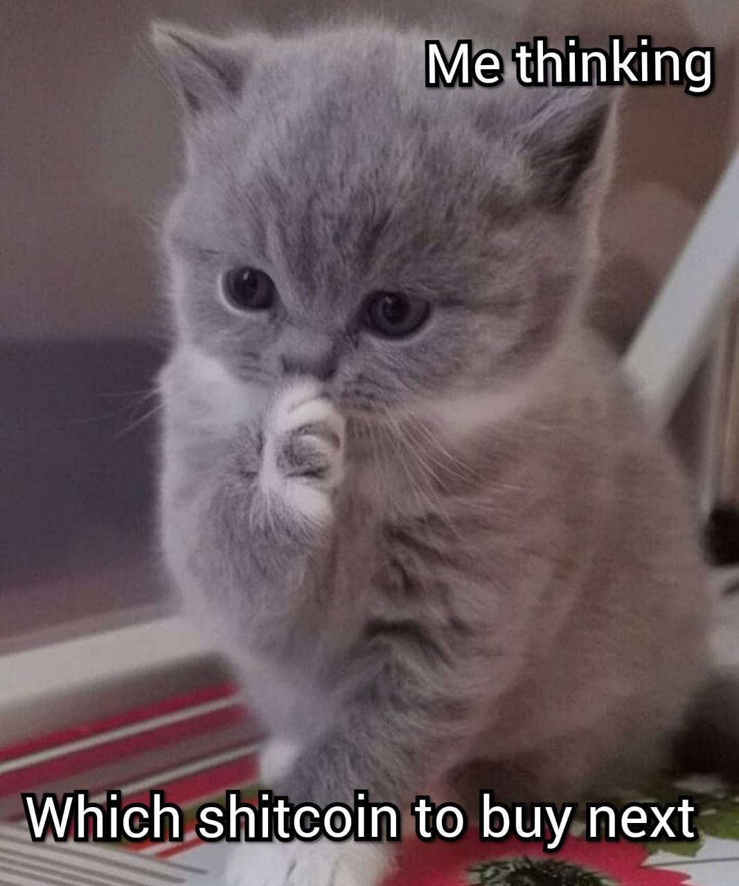 What is Meme My Coin [MMC]?. Meme My Coin | by Meme My Coin | Medium