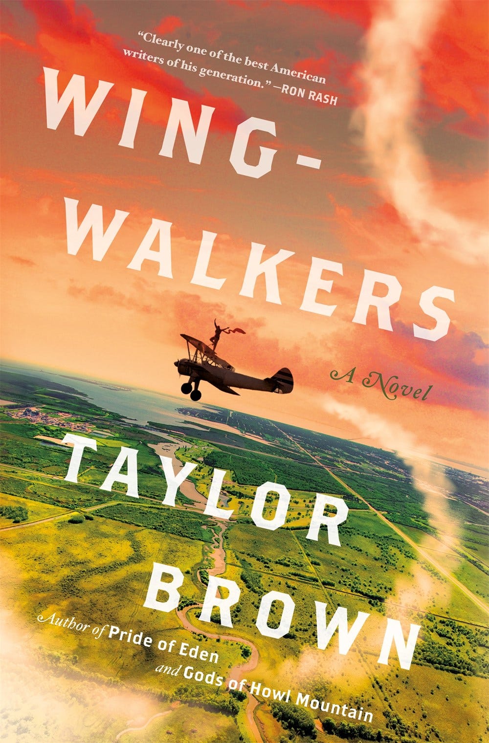 A Review of Taylor Browns “Wingwalkers” by Zachary Houle Medium pic