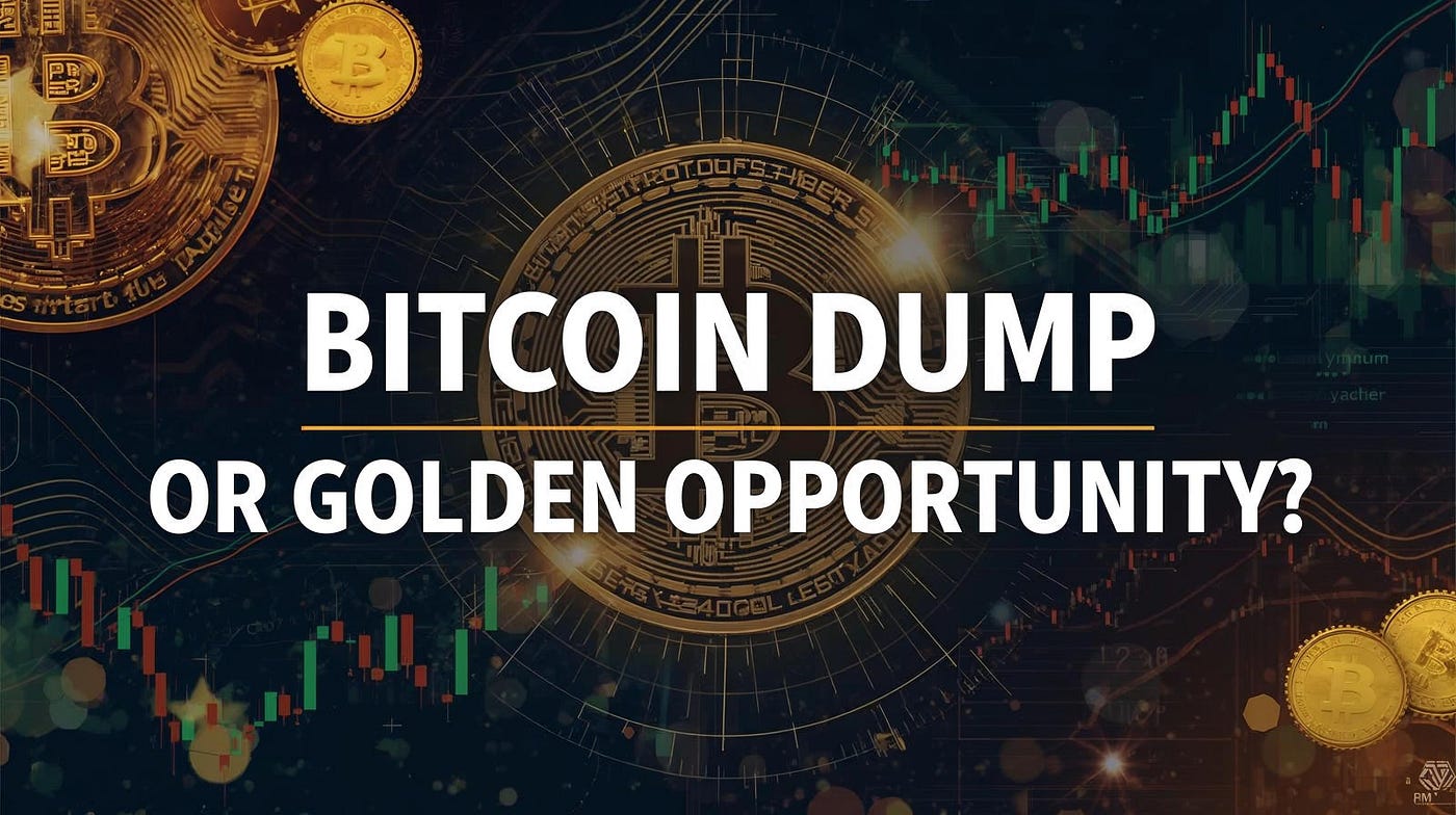 Bitcoin Dump or Golden Opportunity? What This Crypto Rally Really Means |  by Blend Visions | Coinmonks | Medium