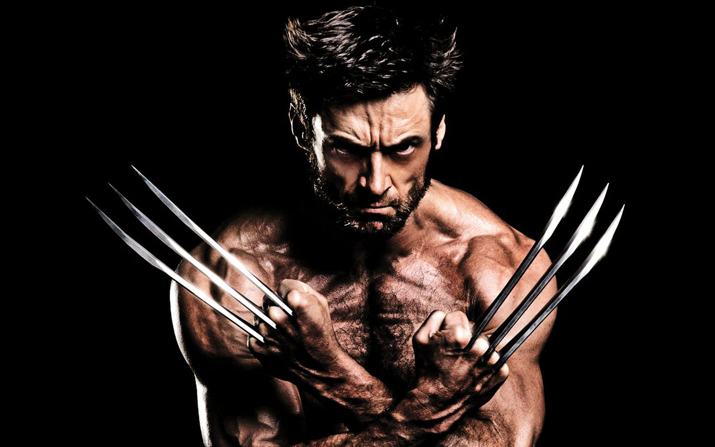 They Are Getting Ready for Wolverine's Regeneration”: Fans Are