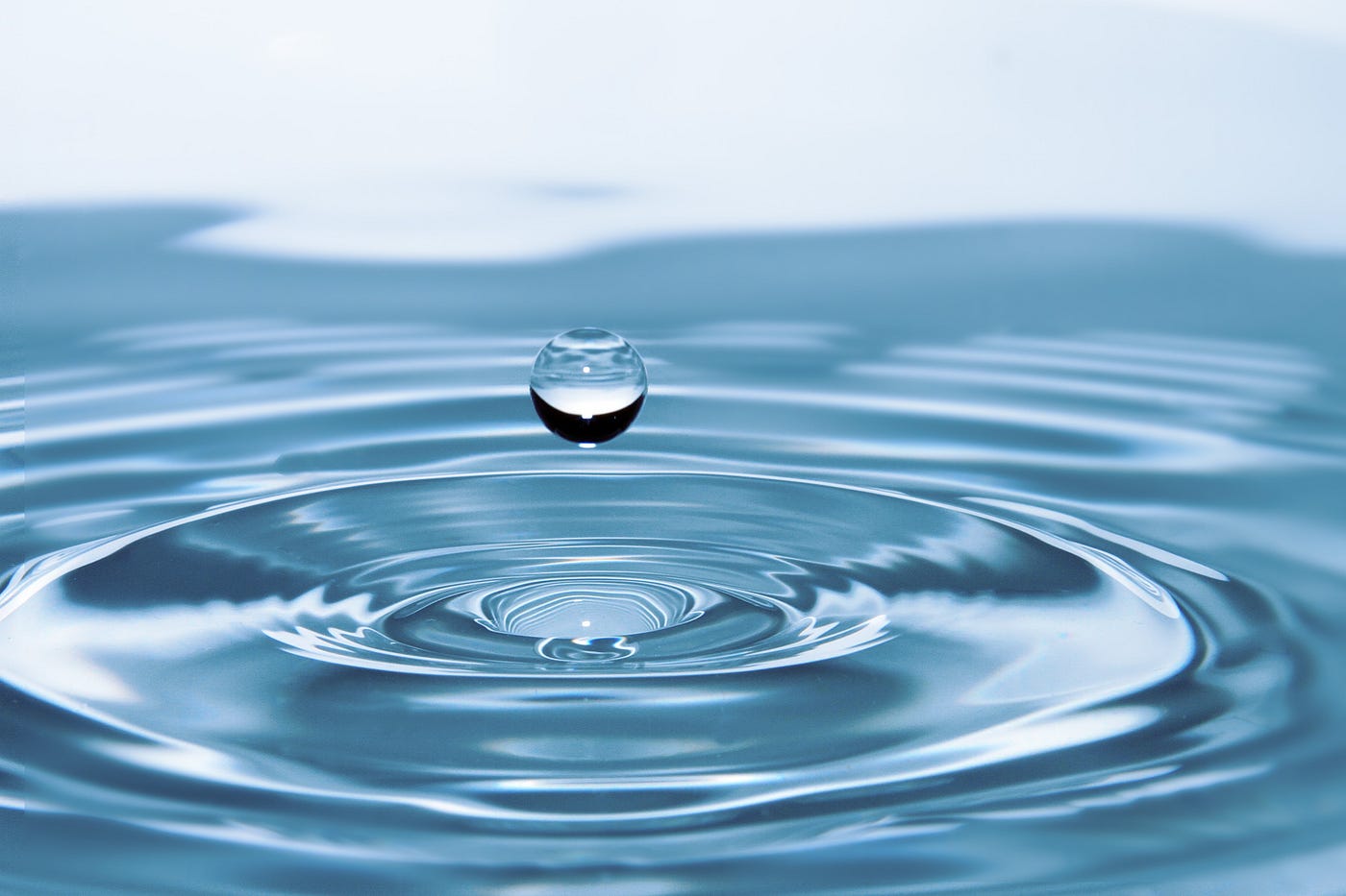 What you need to know about getting started with Liquid Bitcoin | by Zach  vN | The Capital | Medium