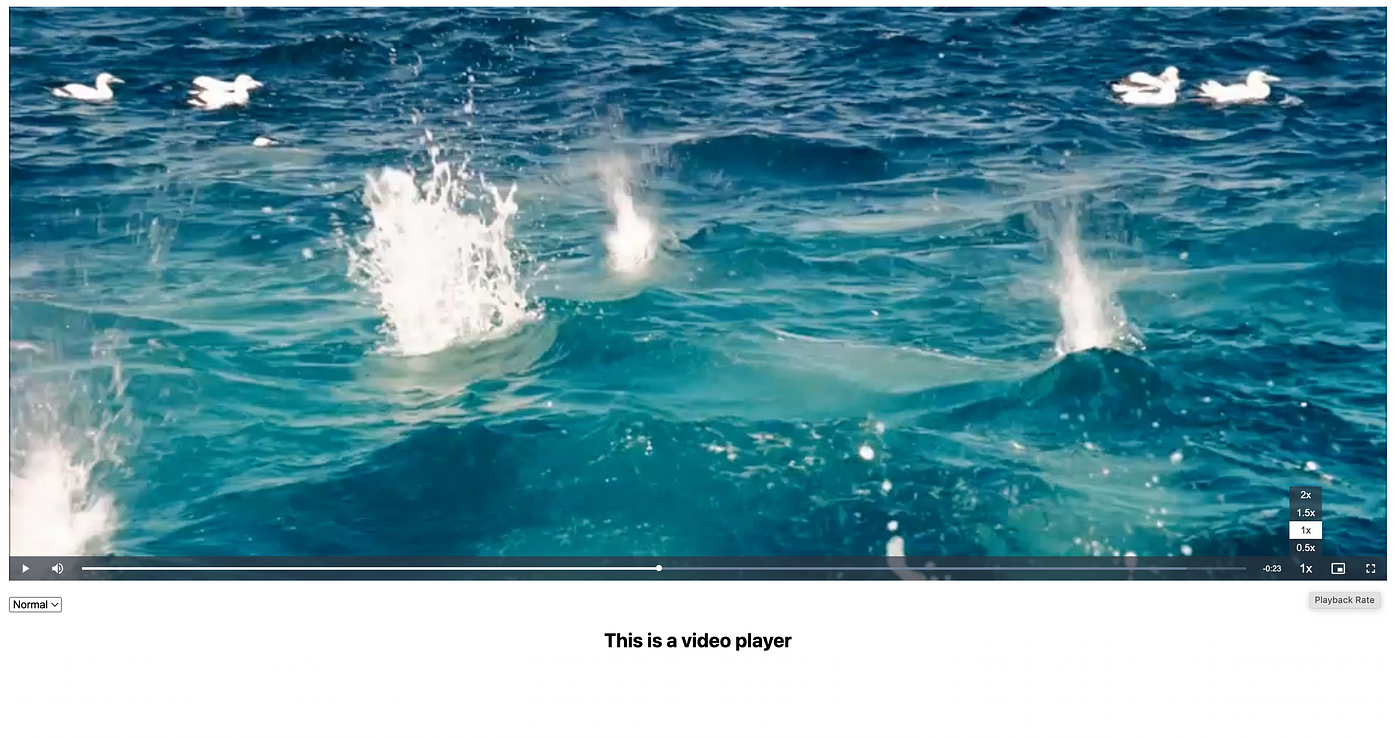Adding video player in Next.js