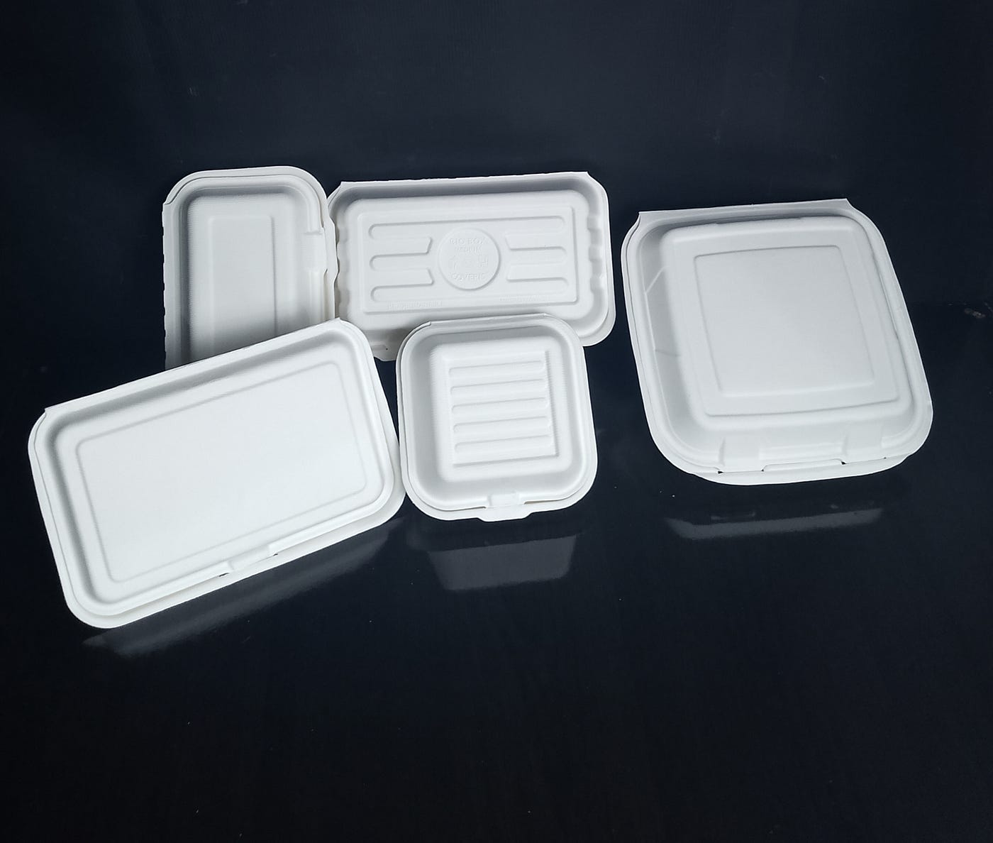 BAGASSE: 4 AMAZING THINGS TO KNOW ABOUT IT