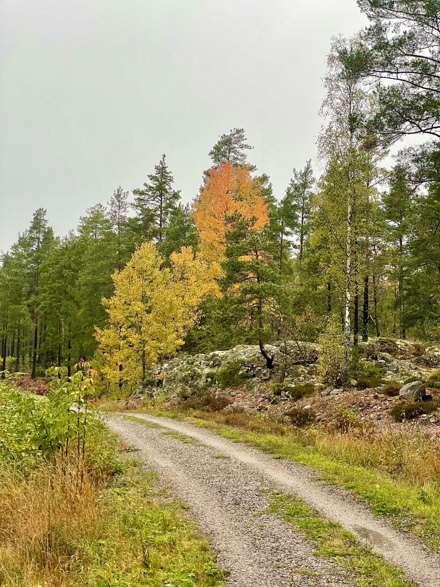 Schijnbare stilte