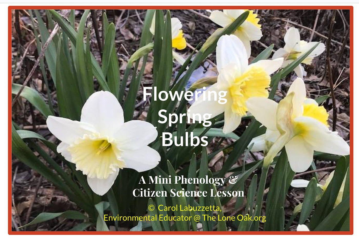 Screen shot of presentation title slide by author, Carol Labuzzetta.