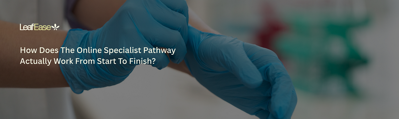 How Does the Online Specialist Pathway Actually Work from Start to Finish?