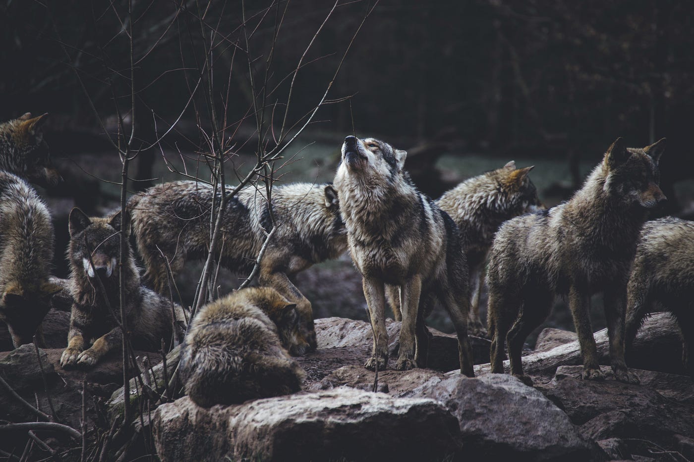 Photo by Thomas Bonometti on Unsplash