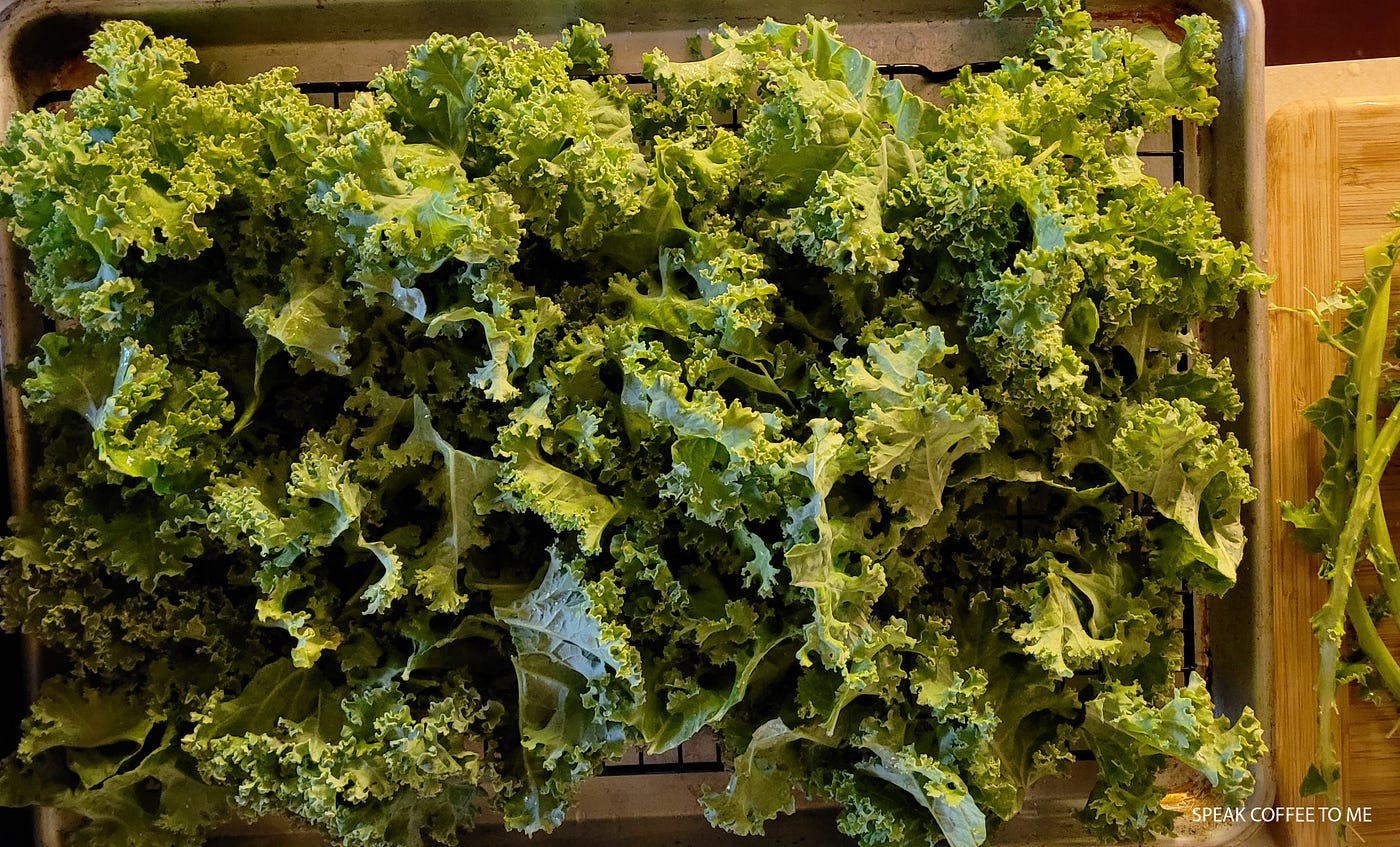 Too Much Kale? — Here's What To Do, by Eileen Wiedbrauk