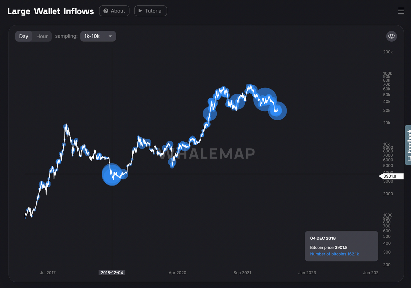 Top 10 Whale bubble rules and more | by Artem Lazarev | Whalemap | Medium