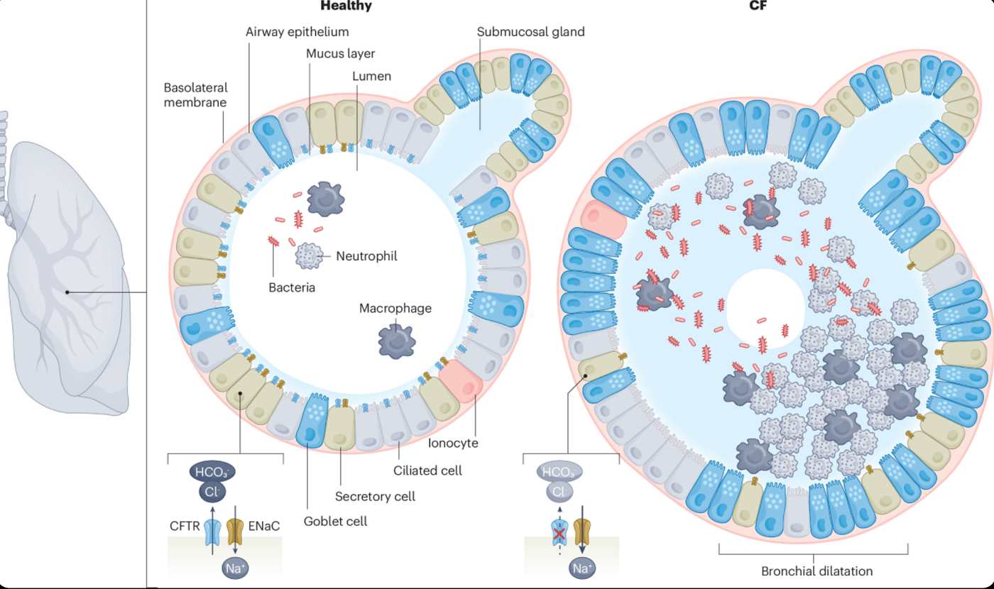The Failure of “One Mutation = One Disease”