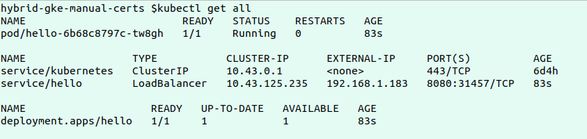 Verify deployment of hello nodeJS application