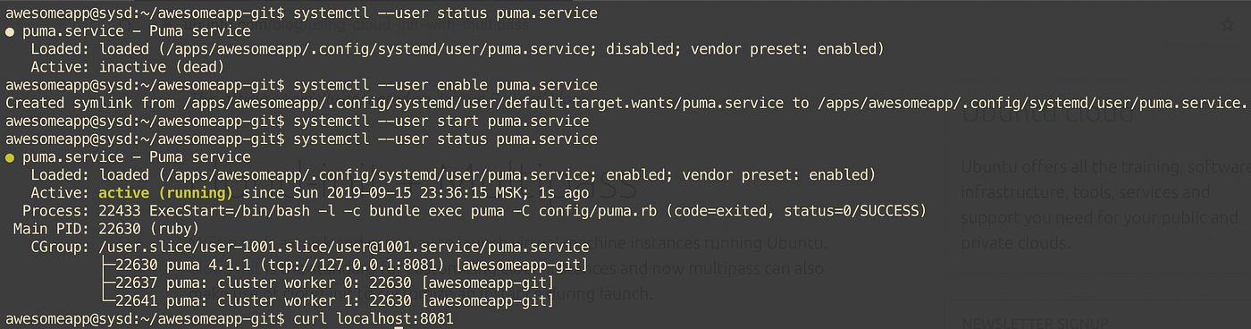 Managing Unicorn & Puma web servers with systemd | by Igor Kuznetsov |  Medium